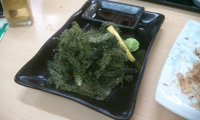 2012-05-26 12.44.45.jpg