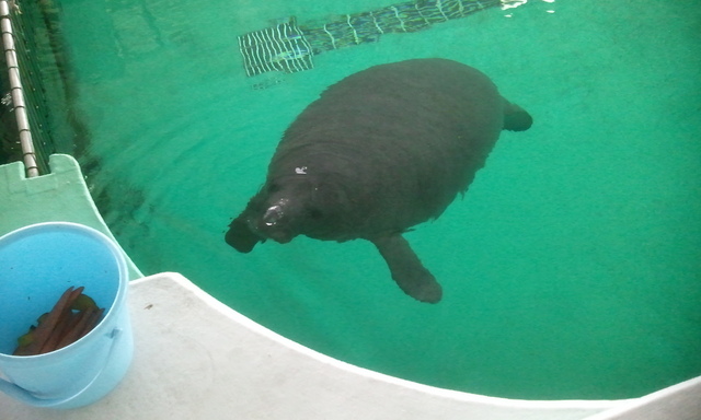2012-05-27 13.58.00.jpg