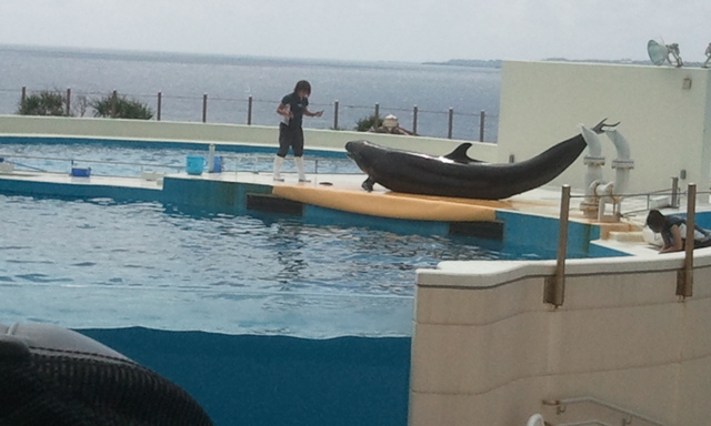 2012-05-27 14.44.56.jpg
