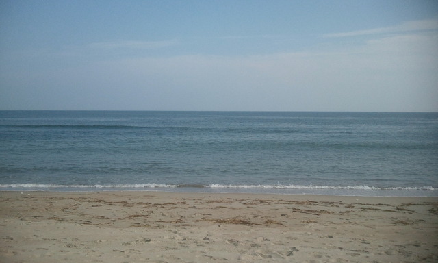 2012-09-22 14.50.39.jpg