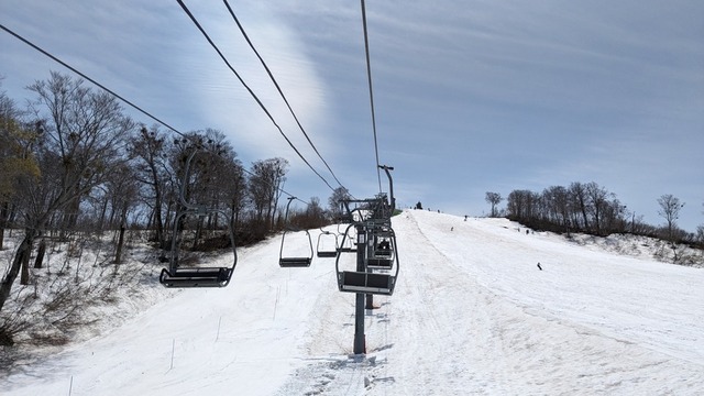 PXL_20240429_013026595.jpg