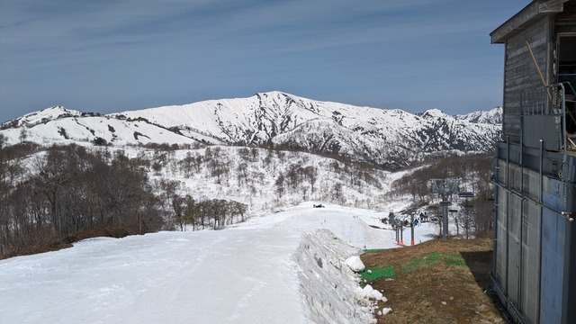 PXL_20240429_013342256.jpg