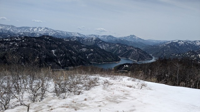 PXL_20240429_013955720.jpg