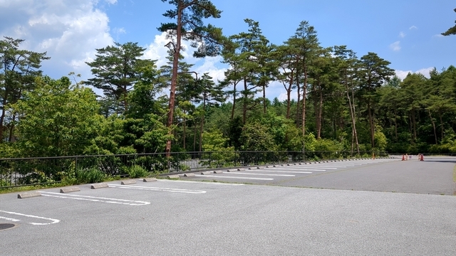 20240614_114446158.jpg