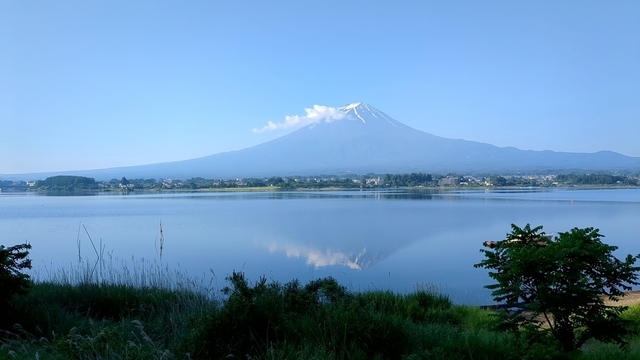 20240614_065356416.jpg