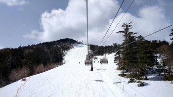 20250405_123733973.jpg